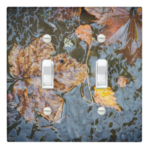 Autumn leaves in the forest stream light switch cover