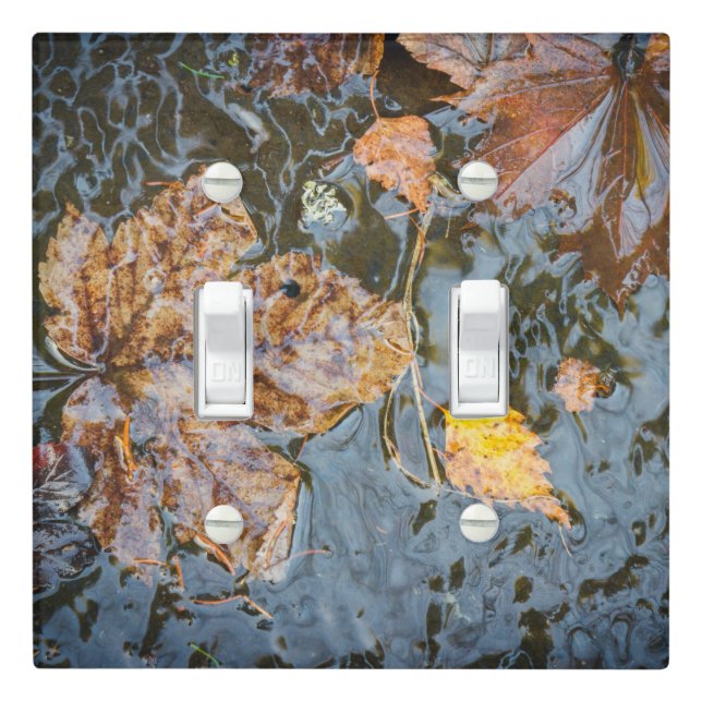 Autumn leaves in the forest stream light switch cover (In Situ)