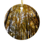 Autumn Leaves in the Morning Maryland Nature Ceramic Ornament