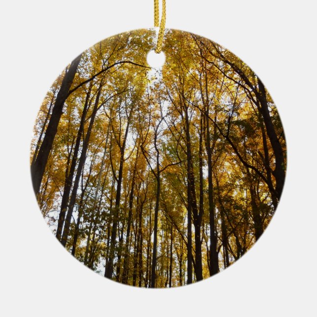 Autumn Leaves in the Morning Maryland Nature Ceramic Ornament (Front)