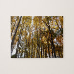 Autumn Leaves in the Morning Maryland Nature Jigsaw Puzzle