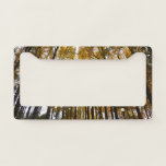 Autumn Leaves in the Morning Maryland Nature License Plate Frame