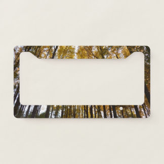 Autumn Leaves in the Morning Maryland Nature License Plate Frame