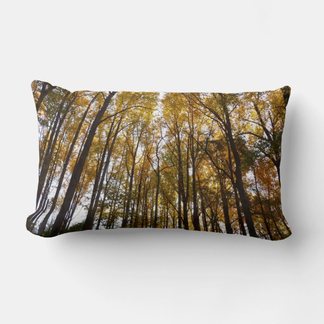 Autumn Leaves in the Morning Maryland Nature Lumbar Pillow (Front)