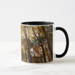 Autumn Leaves in the Morning Maryland Nature Mug