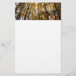 Autumn Leaves in the Morning Maryland Nature Stationery