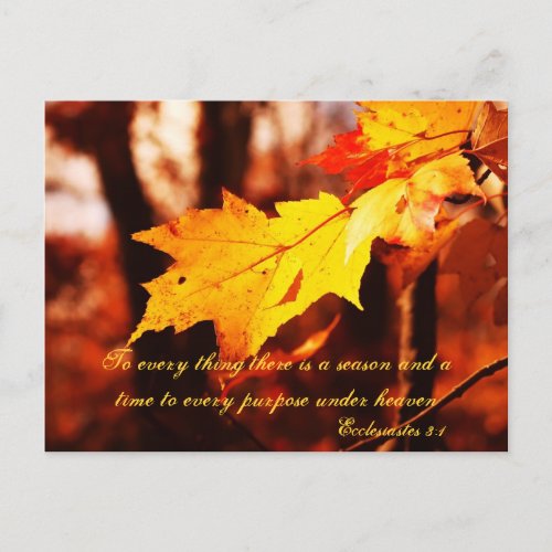 Autumn Leaves in the Poconos Postcard