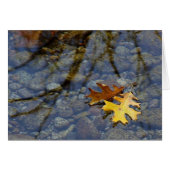 Autumn Leaves in the rain Note Card (Front Horizontal)