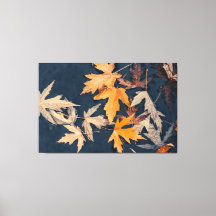 Autumn Leaves in Water
