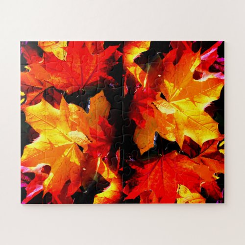 Autumn leaves jigsaw puzzle