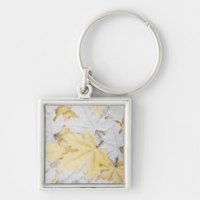 Autumn Leaves Keychain (Front)