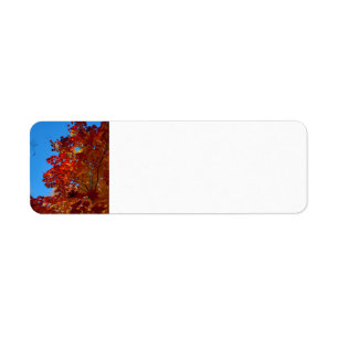 Autumn leaves label