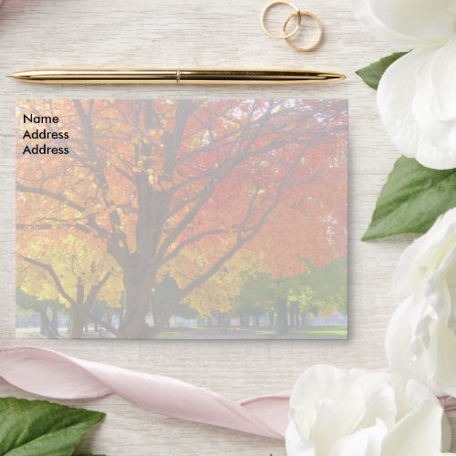 Autumn Leaves Light Classic Envelope