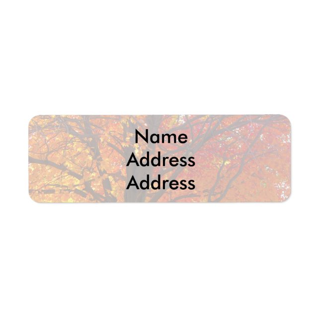 Autumn Leaves Light Return Address Labels (Front)