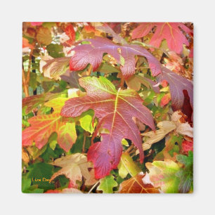 'Autumn Leaves' Magnet