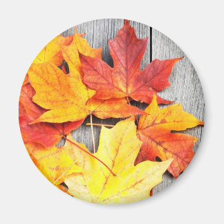 Autumn Leaves Magnet