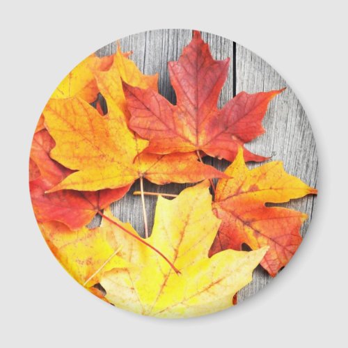 Autumn Leaves Magnet