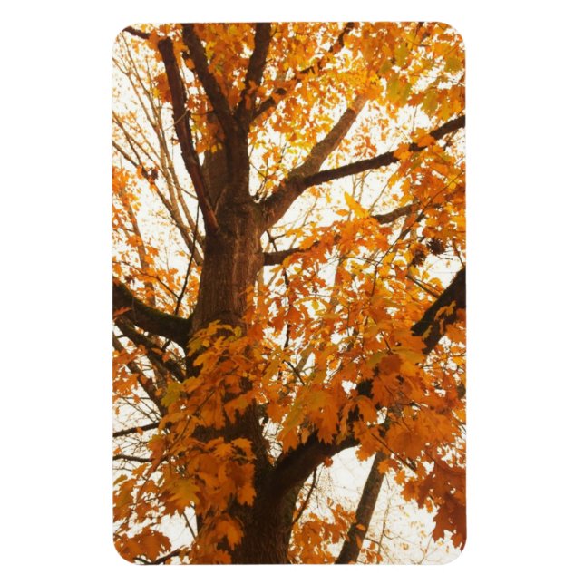 Autumn Leaves Magnet (Vertical)