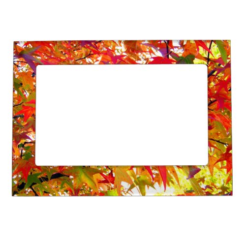 Autumn Leaves Magnetic Picture Frame