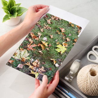 Autumn Leaves Mailing Envelope Mailers
