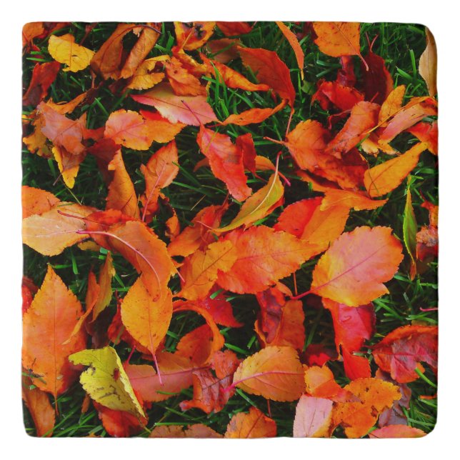 Autumn Leaves Marble Stone Trivet (Front)