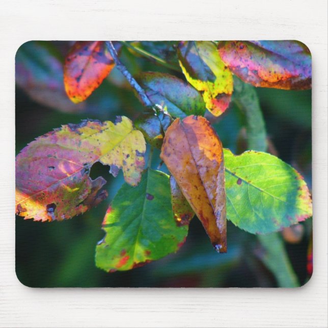 Autumn Leaves Mousemat Mouse Pad (Front)