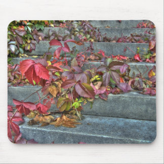 Autumn leaves mousepad