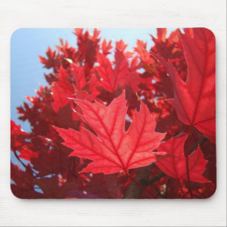 Autumn Leaves mousepad Red Fall Tree Leaves