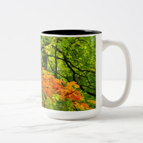 Autumn Leaves Mug