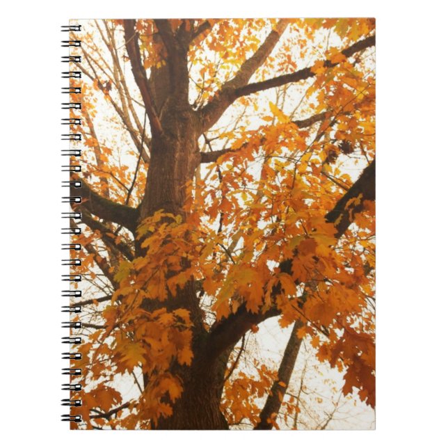 Autumn Leaves Notebook (Front)