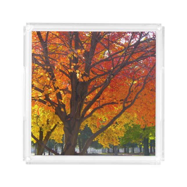 Autumn Leaves of Yellow and Orange Photo Acrylic Tray (Front)