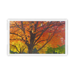 Autumn Leaves of Yellow and Orange Photo Acrylic Tray