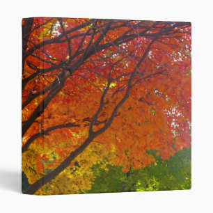 Autumn Leaves of Yellow and Orange Photo Binder