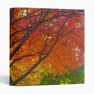 Autumn Leaves of Yellow and Orange Photo Binder