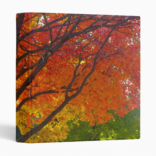 Autumn Leaves of Yellow and Orange Photo Binder (Front/Spine)