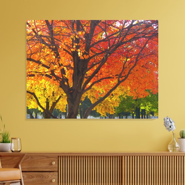Autumn Leaves of Yellow and Orange Photo Canvas Print (Insitu(LivingRoom))