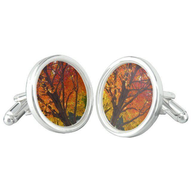 Autumn Leaves of Yellow and Orange Photo Cufflinks (Angled)