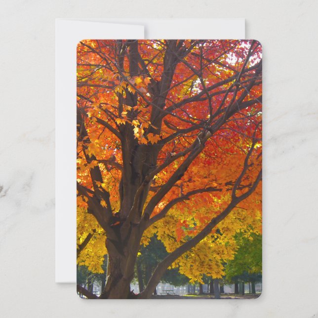 Autumn Leaves of Yellow and Orange Photo Invitation (Front)