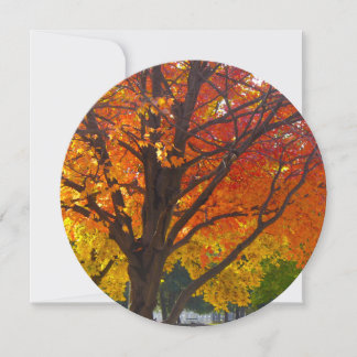 Autumn Leaves of Yellow and Orange Photo Invitation