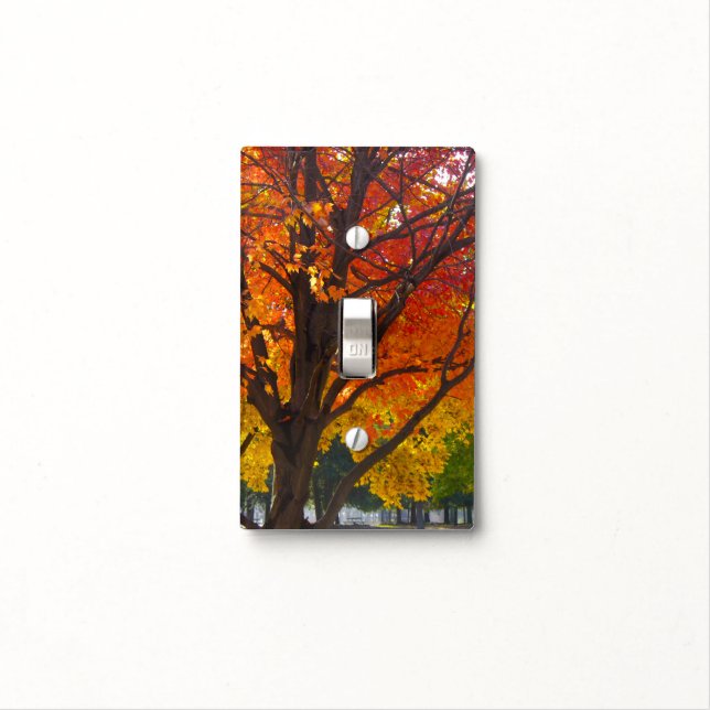 Autumn Leaves of Yellow and Orange Photo Light Switch Cover (In Situ)