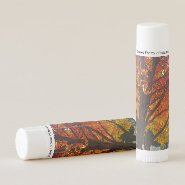 Autumn Leaves of Yellow and Orange Photo Lip Balm (Front)