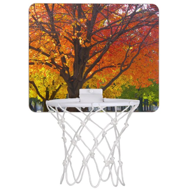Autumn Leaves of Yellow and Orange Photo Mini Basketball Hoop (Front)