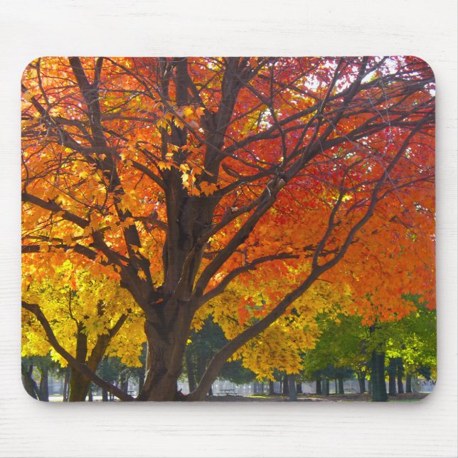 Autumn Leaves of Yellow and Orange Photo Mouse Pad (Front)