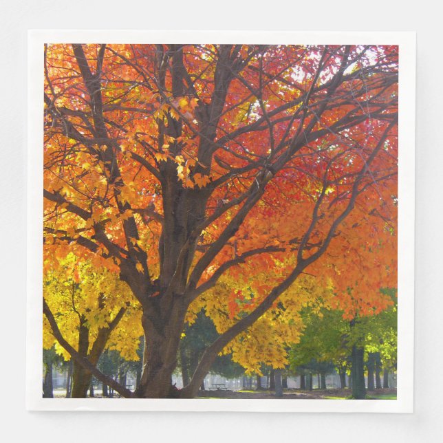 Autumn Leaves of Yellow and Orange Photo Paper Dinner Napkins (Front)