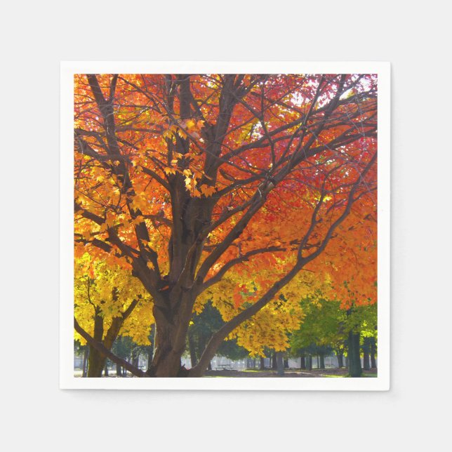 Autumn Leaves of Yellow and Orange Photo Paper Napkins (Front)