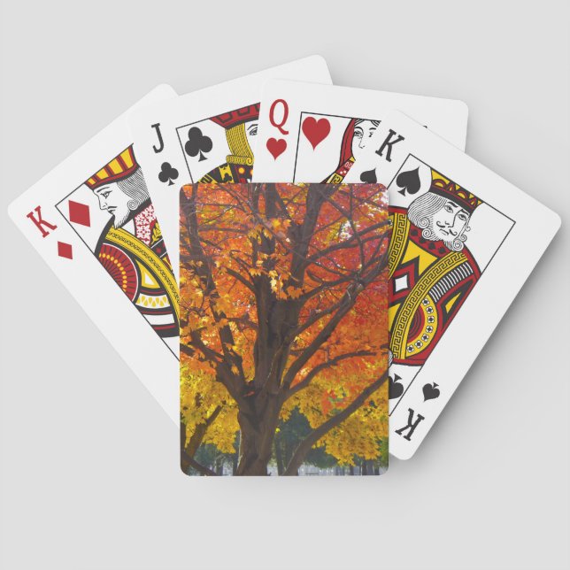 Autumn Leaves of Yellow and Orange Photo Poker Cards (Back)