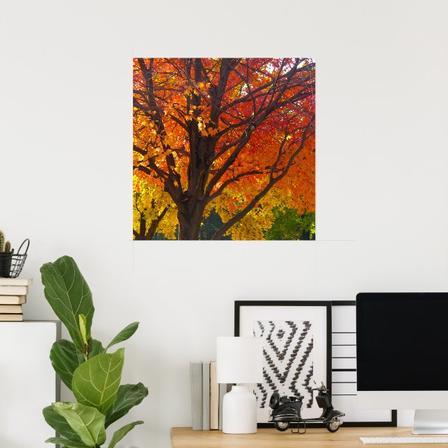 Autumn Leaves of Yellow and Orange Photo Poster (Home Office)
