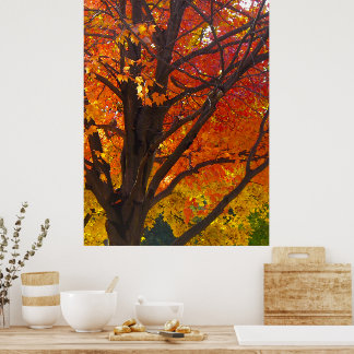 Autumn Leaves of Yellow and Orange Photo Poster