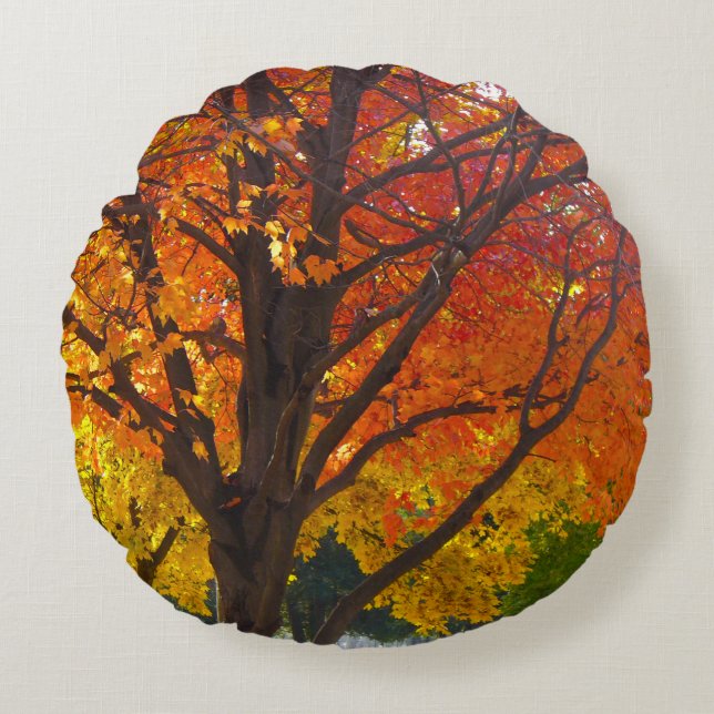 Autumn Leaves of Yellow and Orange Photo Round Pillow (Front)