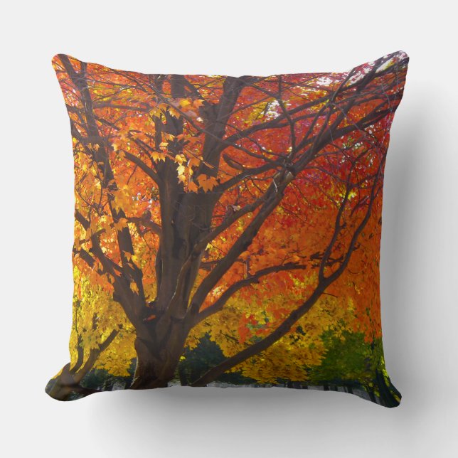 Autumn Leaves of Yellow and Orange Photo Throw Pillow (Front)